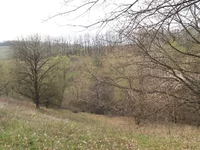  оврага-каньона.webp