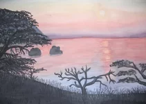 DSCN94451.webp