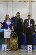 09ba49bd1415.webp