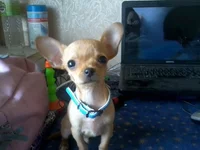0592.webp
