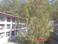 CIMG0826.jpg