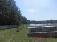 CIMG0831.jpg