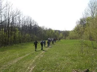 1. старт.webp