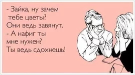  и зайка.webp