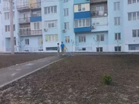 WP_000483.webp