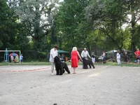 IMG_0153.webp