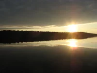 IMG_2231.webp