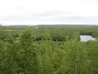 IMG_2443.webp