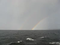 IMG_2487.webp