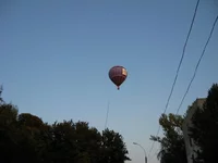  003.webp
