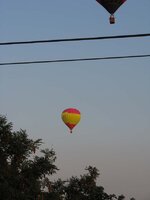 1 (13).jpg