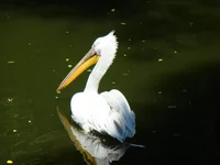DSC02625.webp