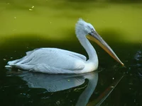 DSC02626.webp