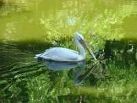 DSC02627.webp