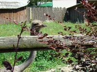 DSC02656.webp