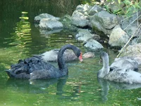 DSC02680.webp