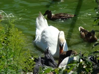 DSC02685.webp