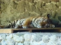 DSC02738.webp