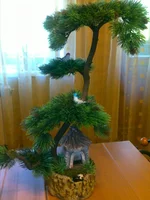 110720112565.webp