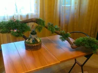 110720112568.webp