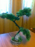 110720112571.webp