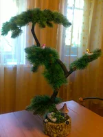110720112572.webp