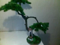 260220123653.webp