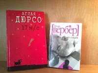 _4.webp