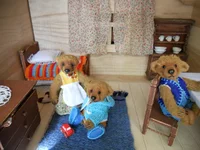 DSCN0516.webp