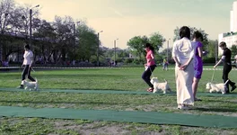 DSC051971.webp