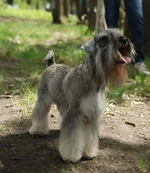 DSC_4905__.jpg