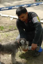 DSC_4990___.jpg