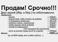 1367080864_1367007202_original.webp