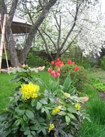 09.webp