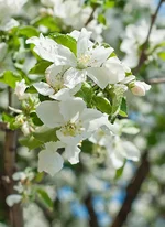 _DSC7498.webp