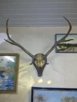 0062.webp