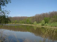 IMG_1468_1.webp