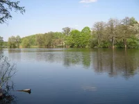 IMG_1531_1.webp