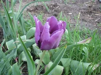 IMG_3042.webp