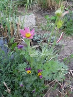 IMG_3076.webp