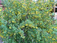 IMG_3083.webp