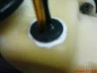 DSC01866.webp