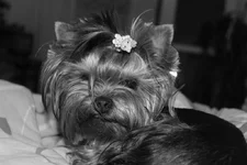 IMG_0050min.webp