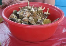 IMG_1302.webp
