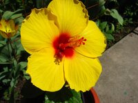 IMG_1827.jpg