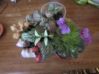 IMG_1656.webp