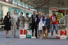 d18d10a0f721 (1).webp