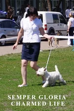 DSC05335.webp