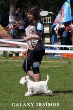 DSC05379.webp
