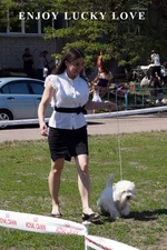 DSC053511.webp